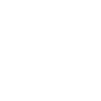 Vipal